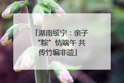 湖南绥宁：亲子“粽”情端午 共传竹编非遗